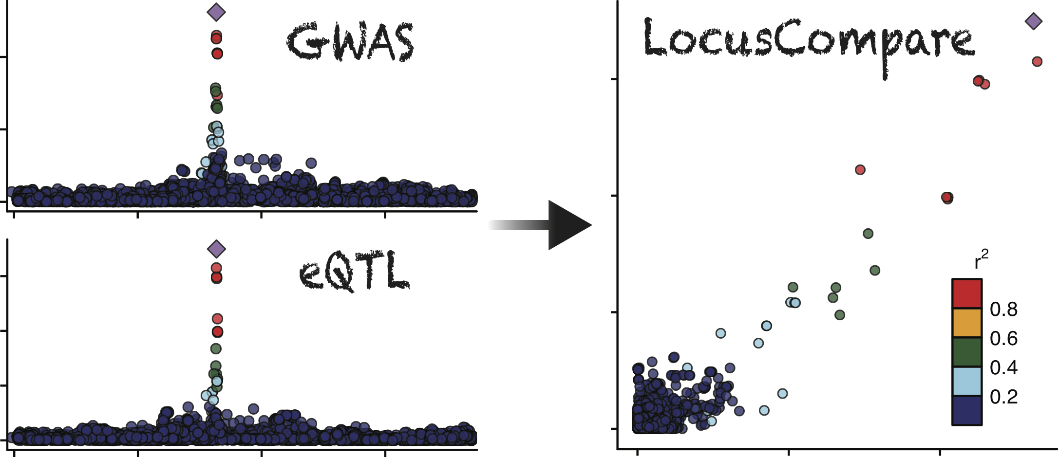 LocusCompare
